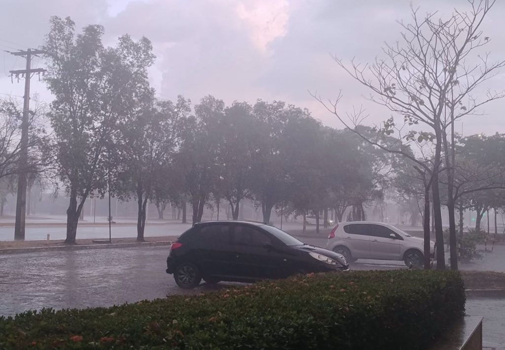 Invernou? Após dias de chuva, veja como deve ficar o tempo nos próximos dias no TO